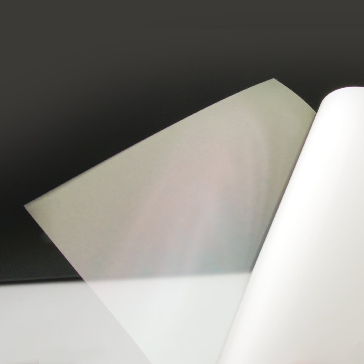 シングルステッカー 透明クリア 再剥離接着タイプ 20×100mm